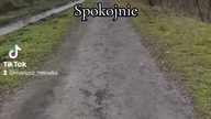 Spokojnie #polskamuzyka #polishmusic #singiel #premiera