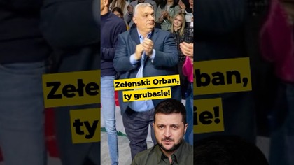 Zełenski: Orban, Ty grubasie! #orban #putin #zelensky