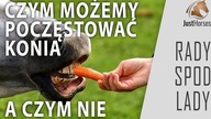 Czym nie powinniśmy karmić konia - RADY SPOD LADY