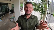 Najczęściej Używane Flagi w USA