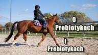 Probiotyki i prebiotyki
