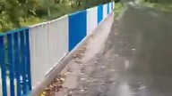 Powódź, bober jaki bober
