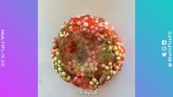 Awesome Satisfying Videos SUPER Collection *98,95 FAILS*