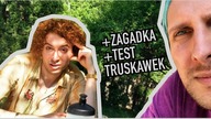 Działking z kotkami