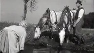 1963. M&oacute;j drugi ożenek