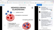VII.  Szury węglowodanowe potwierdzają toksyczność węglowodan&oacute;w-Hemoglobina glikowana