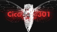 Cicada 3301 NAJWIĘKSZA zagadka INTERNETU!