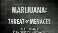 Marihuana - Dlaczego Dar Od Boga Jest Zakazany -Film Dokumentalny Lektor