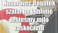 Nosorożec Rogatek szalał po Lublinie Jesteśmy miło zaskoczeni