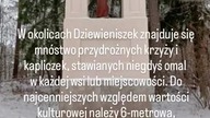 Dziewieniszki.  Kapliczka w Urlańcach.  Dieveniškės.  Urelių koplytėlė.