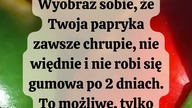  Jak prawidłowo przechowywać paprykę? #dieta #odchudzanie