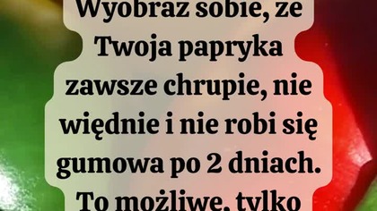  Jak prawidłowo przechowywać paprykę? #dieta #odchudzanie