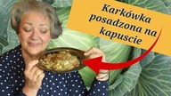 Karkówka Ułożona Na Kapuście.  Pieczona Delikatna i Pyszna