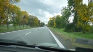 Relacja z giełdy terrarystycznej w Rybniku 3-4. 10. 2020