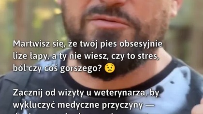 Obsesyjne liżenie łap u psa? Sprawdź przyczyny!  #zdrowiezwierząt #pielęgnacja #psy