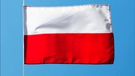 Wiadomości 12:00 | Imigranci w Polsce? Polski rząd przyjmuje ich najwięcej w UE