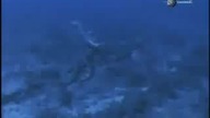 DSVR - 2003 - Program(fragment)