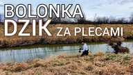 281 BOLONKA I DZIK ZA PLECAMI