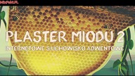 Plaster miodu 2