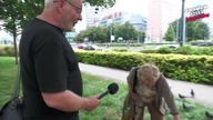 Zamach stanu czy zaprzysiężenie¿ (1080p 50fps H264-128kbit AAC)
