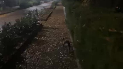 4ecbec94-3ff8-4d86-a4dd-be201f0b1c78