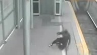 Większego farta mieć nie można