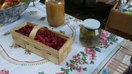 Żniwa w Bronicach 2018 - z pól, sadów, warzywniaków, spiżarek na stoły