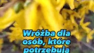 Wróżba dla osób, które potrzebują motywacji