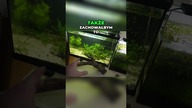 Nowy START! Zmiany w akwarium po sprzedaży aranżacji
