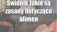 Świdnik: Jakie są zasady dotyczące alimentów przy opiece naprzemiennej?