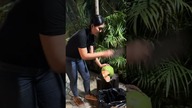 Tasak kontra kokos