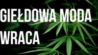 Wraca moda na konopie!