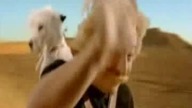 Asterix i Obelix Parodia