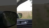 25. 09 pszenica czeka na zbiór a może to tylko magazyn pod chmurką w oczekiwaniu na lepszą cenę