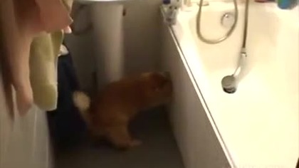 Zostawcie drzwi otwarte!