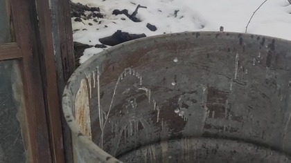 #shortsZima ustępuje, pierwsze dźwięki wiosny