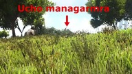 UKRADŁ MI GIGANOTO!!! | ARK: WOJNA O ARTEFAKT #2