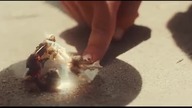 Henry Krinkle - Stay (Official Video)