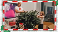 NARESZCIE! UBIERAMY CHOINKĘ | 9 VLOGMAS | DLM