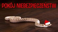 Witam w moim pokoju 3! CAŁA HODOWLA ZAJĄCA