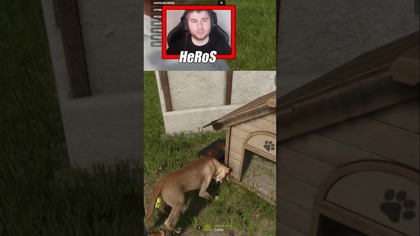 ALE ZBIEG OKOLICZNOŚCI  #farming