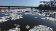 Śryż na Warcie w Gorzowie