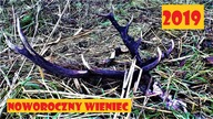 Noworoczne Trofeum, Wieniec Jelenia 2019 (5KG!) Marzenie Kolekcjonerów