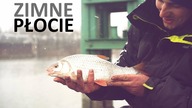 ZIMNE PŁOCIE na FEEDER