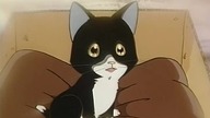 Kuro (napisy PL)