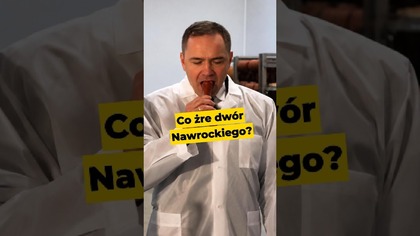 Co żre dwór Nawrockiego? #Nawrocki #Batyr #polityka
