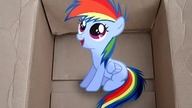 My Little Dashie PL (czytane) cz2