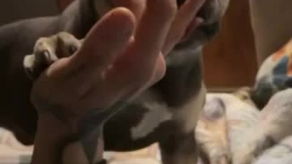 Już się odpalił .