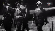 Wielkie bitwy ll wojny światowej oczami świadk&oacute;w - pustynna wojna