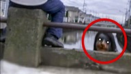5 Niepokojących nagrań - nawiedzone osiedle, cienista zjawa